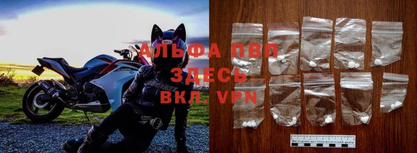 твердый Санкт-Петербург
