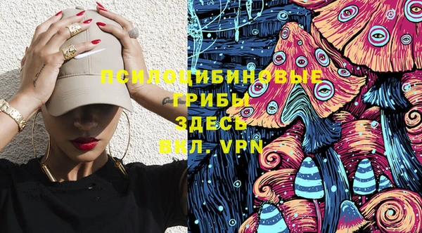 a pvp Краснослободск